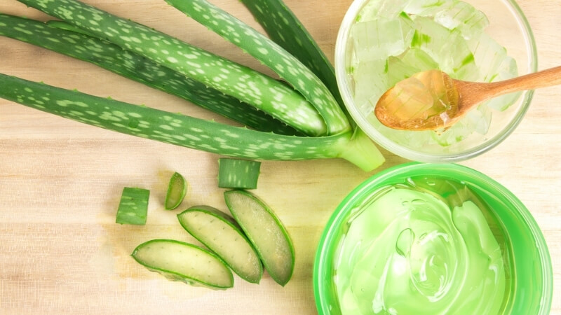 Aloe Vera - home remedy for hair fall