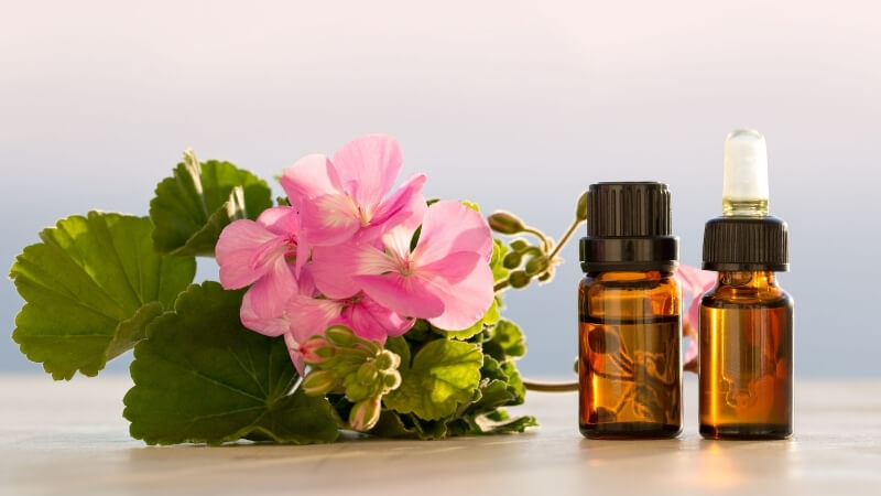 Geranium oil - Hair fall home remedy